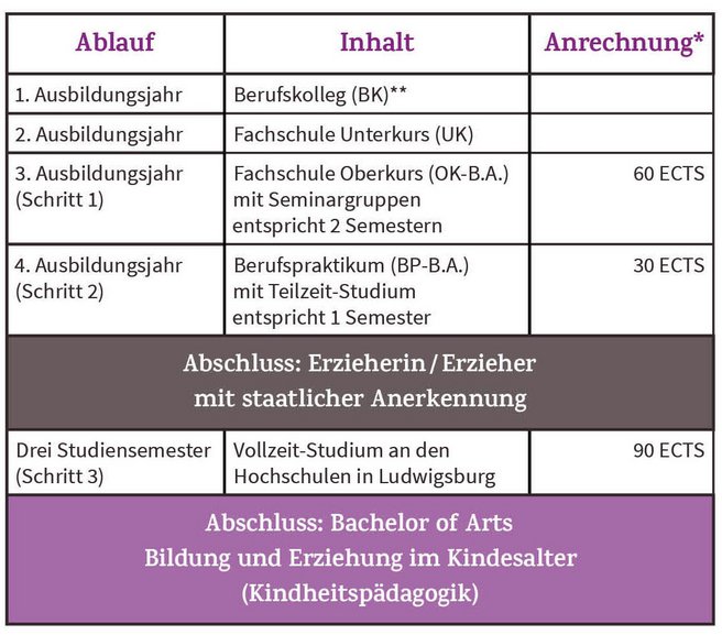 Die Tabelle zeigt den detaillierten Ablauf des Studienmodells mit Doppelabschluss an der Reutlinger Fachschule: Oberkurs mit Seminargruppen, Teilzeit-Studium während der Berufspraktikums und Vollzeit-Studium in Ludwigsburg im Anschluss.