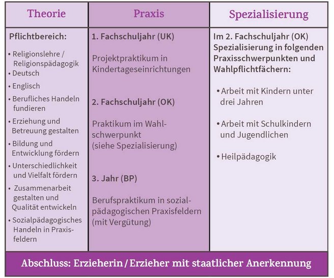 Die Grafik zeigt die Inhalte der Erzieherausbildung: Theorie, Praxis und Spezialisierungen.